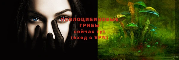 марки lsd Заводоуковск