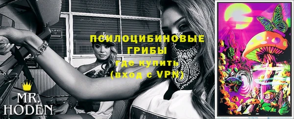 марки lsd Заводоуковск