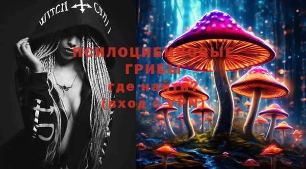 дмт Заволжье