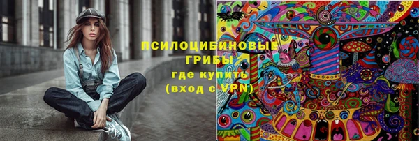 марки lsd Заводоуковск