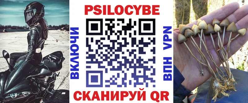 Галлюциногенные грибы прущие грибы как найти наркотики Зерноград